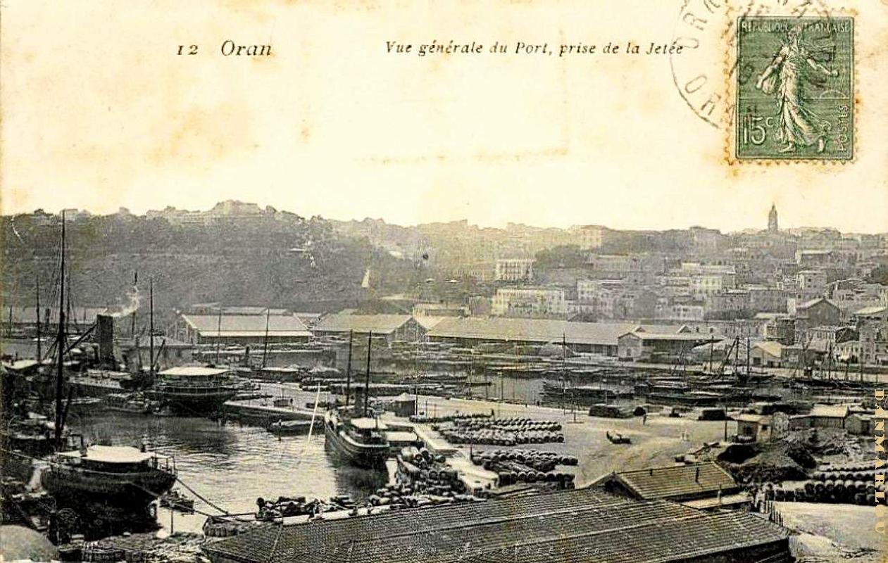 PO e- 006.jpg